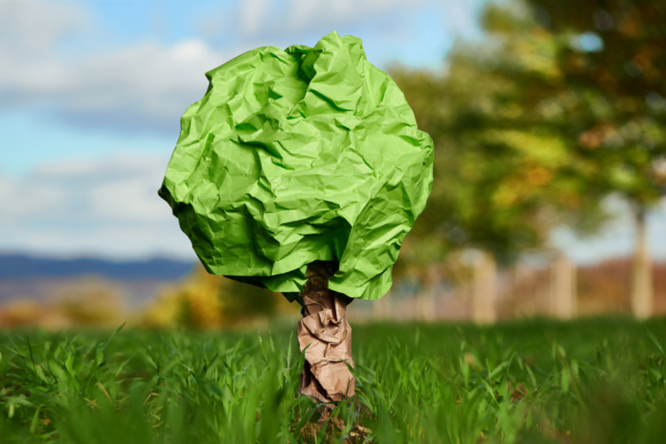 Verpackung mit Klimabeitrag